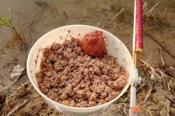 钓青鱼的技巧，作钓前1-3天投放窝料
