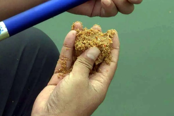 钓青鱼的技巧，作钓前1-3天投放窝料