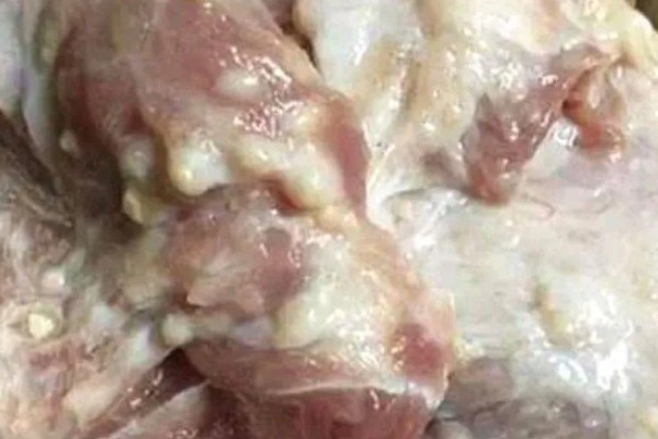 为什么猪脖子肉不能吃，因为含有大量的淋巴