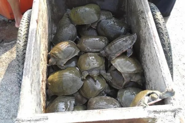 水产品养殖的种类，分为淡水养殖和海水养殖