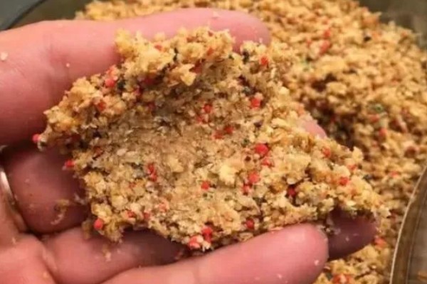黑坑钓青鱼用什么饵料，冬季选择略带腥味的饵