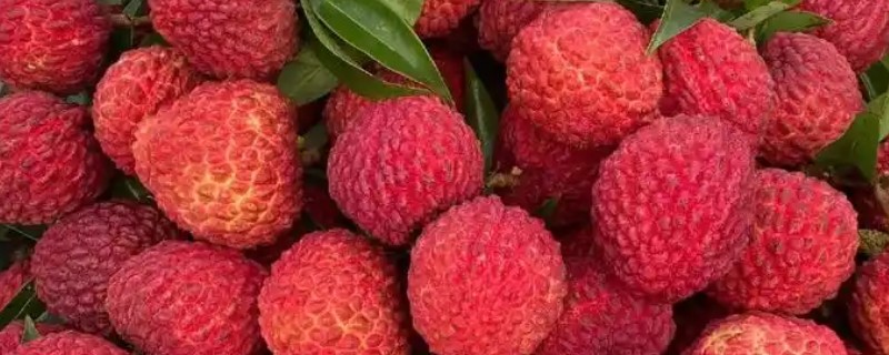 夏天的应季水果推荐，有草莓、桃子等