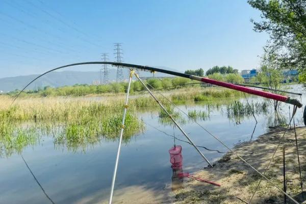 什么时间段适合钓鱼，春秋季节以早上7-11点、下午3-6点为宜