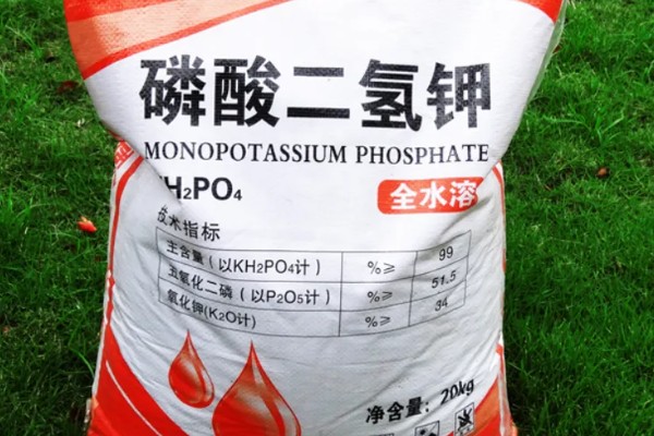 磷酸二氢钾什么时候使用效果好，可以在花芽分化期使用