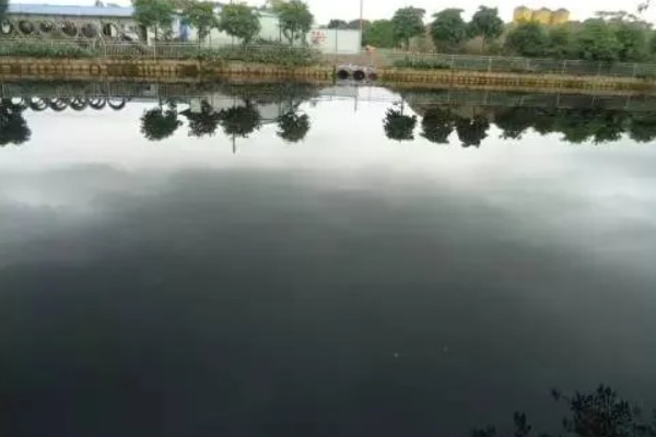 鱼塘黑水改善水质的方法，可能是有机质过量所致