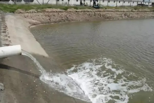 鱼塘黑水改善水质的方法，可能是有机质过量所致