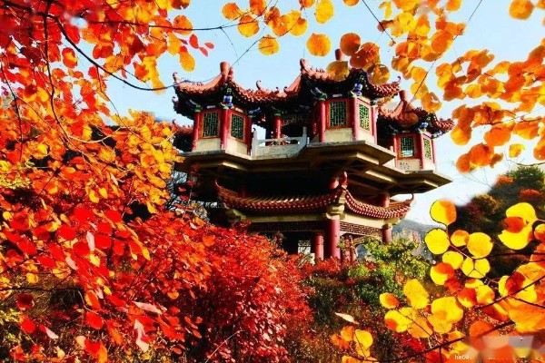 天桂山红叶在什么时候红,在9月份开始变红