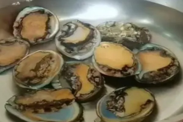 鲍鱼是不是海鲜，属于名贵的海珍品