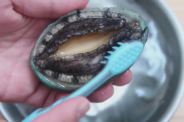 鲍鱼是不是海鲜，属于名贵的海珍品