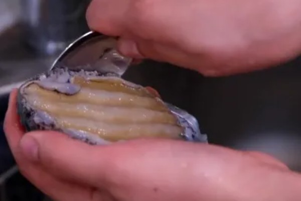 鲍鱼是不是海鲜，属于名贵的海珍品