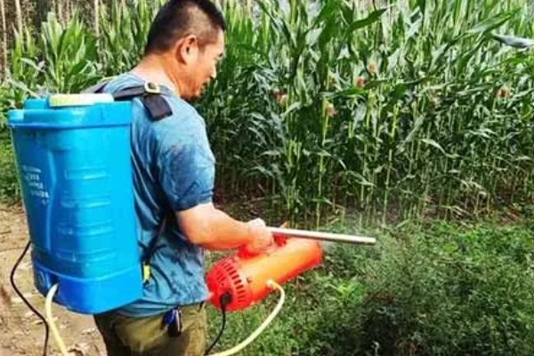 秋玉米在什么时候收获，可以在10月份收获