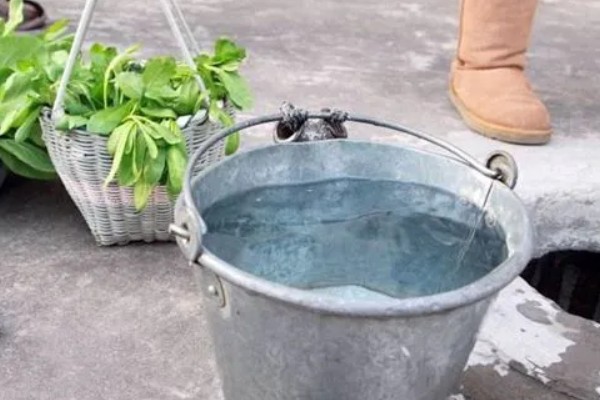 养红鲫鱼多长时间喂一次，建议每天饲喂2次