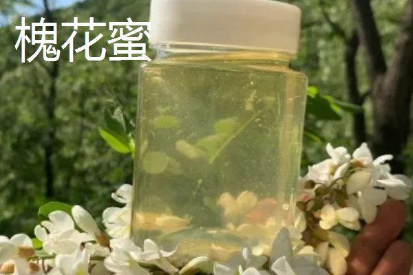 油菜花蜂蜜和槐花蜜的区别，蜜源和色泽均不同