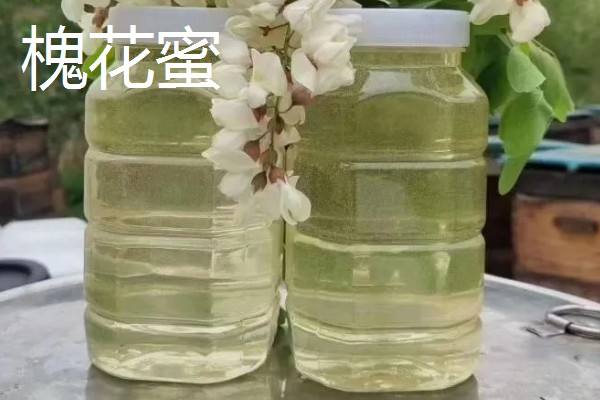 油菜花蜂蜜和槐花蜜的区别，蜜源和色泽均不同