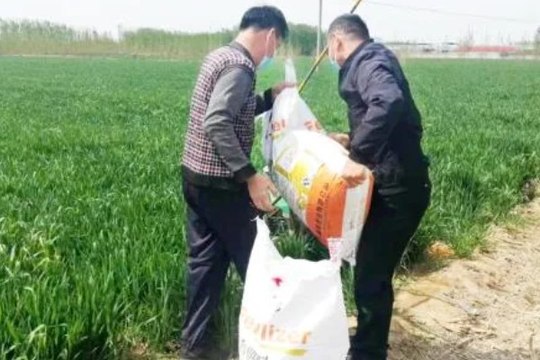 小麦如何根外追肥，根据具体情况而确定肥料种类