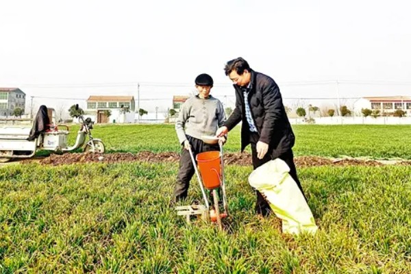 小麦如何根外追肥，根据具体情况而确定肥料种类