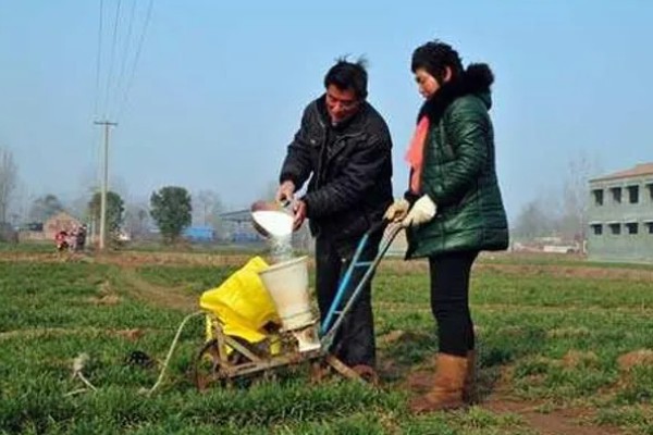 小麦如何根外追肥，根据具体情况而确定肥料种类