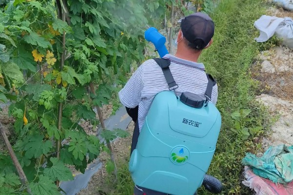 黄瓜死棵如何防治，发病初期可喷洒甲基硫菌灵可湿性粉剂
