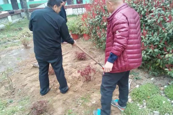 11月份还能栽牡丹吗，11月份还可以栽牡丹
