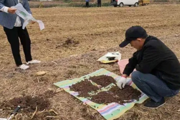科学施肥技术应该怎么做，需加快肥料新产品推广