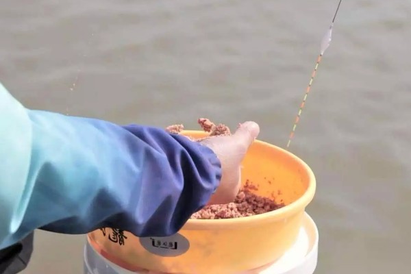 夏天野钓鲫鱼用什么浮漂，可以用孔雀翎的浮漂