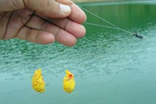 夏天野钓鲫鱼用什么浮漂，可以用孔雀翎的浮漂