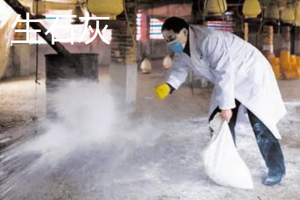 鸡圈消毒一般用什么，可以用生石灰、福尔马林等