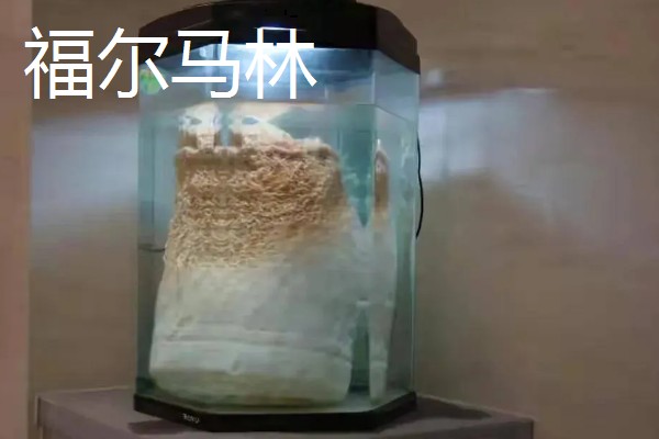 鸡圈消毒一般用什么，可以用生石灰、福尔马林等