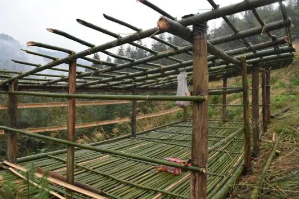 鸡圈消毒一般用什么，可以用生石灰、福尔马林等