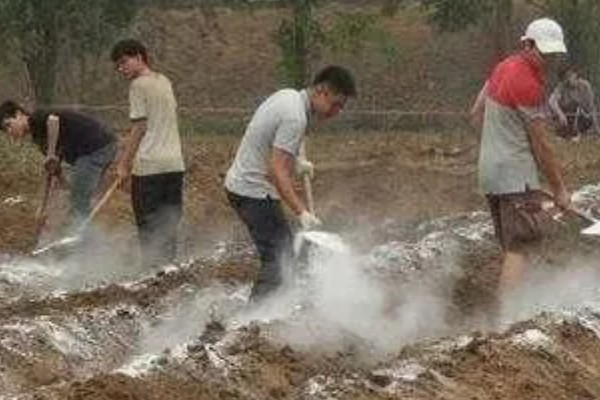 番茄根部病害及防治方法，常见的有根结线虫病、枯萎蔫病等