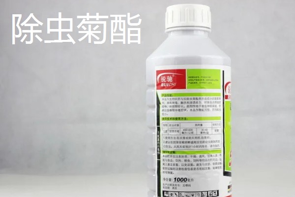 鸡身上的跳蚤用哪种药，可选择除虫菊酯、马拉硫磷等