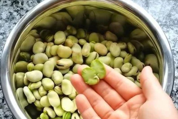 皖鱼和草鱼的区别是什么，二者没有区别