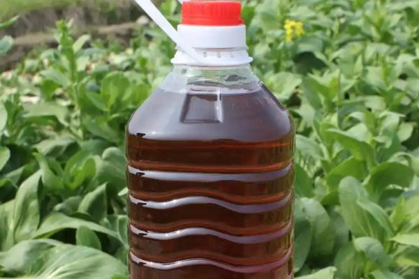 江西省崇义县的特产，有崇义南酸枣糕、龙归茶等