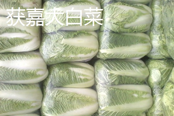 河南新乡的主要农作物，有新乡小麦、获嘉大白菜等