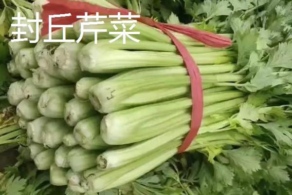 河南新乡的主要农作物，有新乡小麦、获嘉大白菜等
