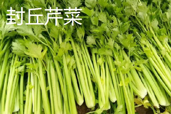 河南新乡的主要农作物，有新乡小麦、获嘉大白菜等