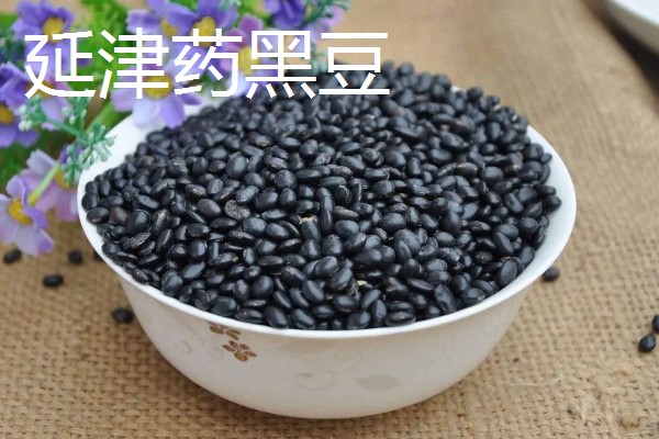 河南新乡的主要农作物，有新乡小麦、获嘉大白菜等