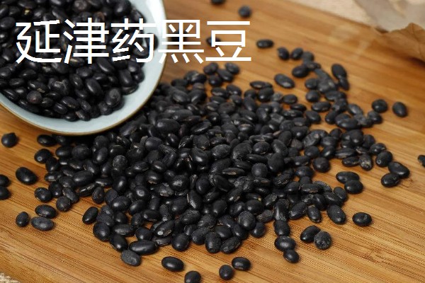 河南新乡的主要农作物，有新乡小麦、获嘉大白菜等