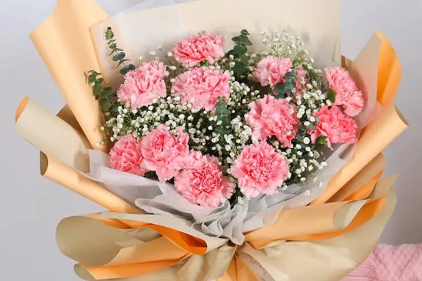 十朵康乃馨的寓意，寓意十全十美、美满幸福等