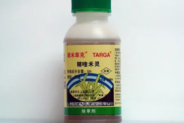 种植五味子怎么防治杂草，使用以下2种药物效果较好