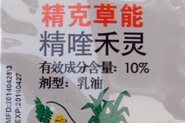 种植五味子怎么防治杂草，使用以下2种药物效果较好