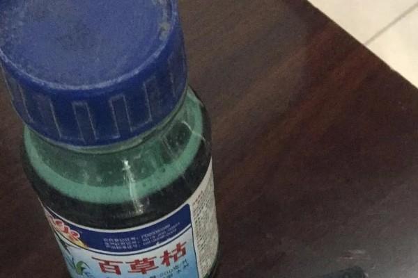 种植五味子怎么防治杂草，使用以下2种药物效果较好