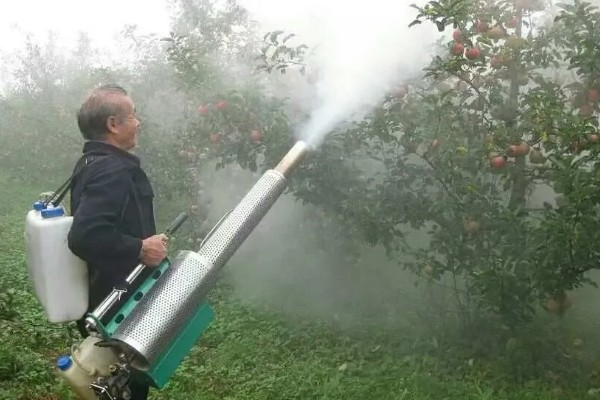 多菌灵可防治哪些病害，可有效防治大葱、韭菜灰霉病等
