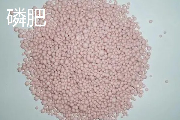 氮肥是什么肥料，是一种以氮元素为主的肥料