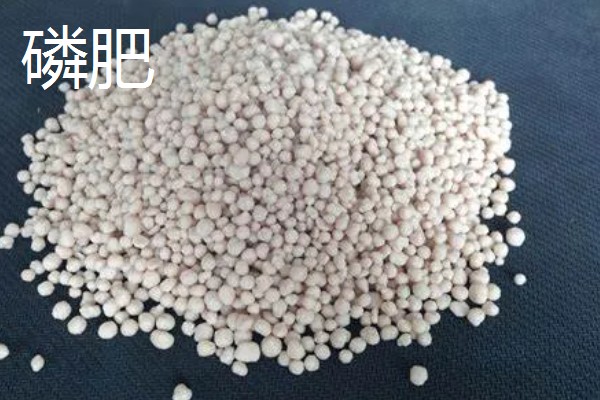 氮肥是什么肥料，是一种以氮元素为主的肥料