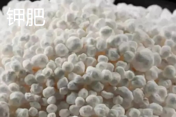 氮肥是什么肥料，是一种以氮元素为主的肥料