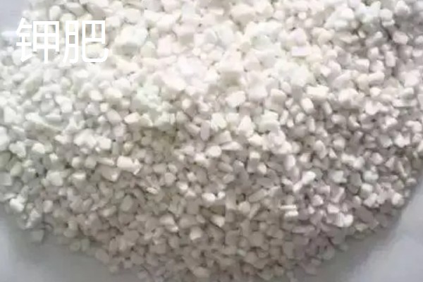 氮肥是什么肥料，是一种以氮元素为主的肥料
