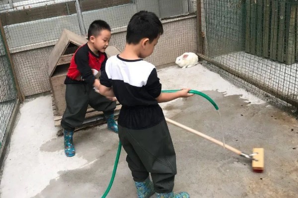 养兔的禁忌,不要轻易捕捉它或大声喧闹