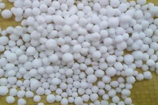 氮肥对植物有什么作用，能促进作物细胞的分裂和生长