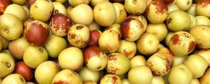 河北任丘市的特产，有红心鸭蛋、火烧夹驴肉等